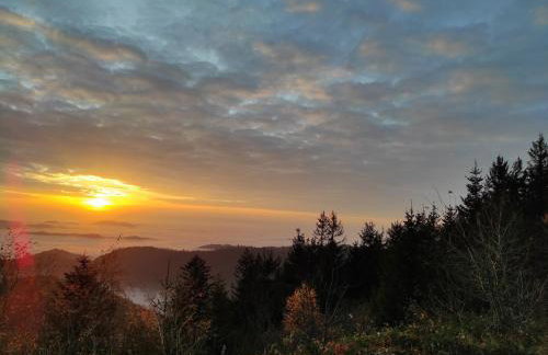 Ferienwohnung Hirschlein mit Schwarzwaldblick in Baiersbronn - Foto 29
