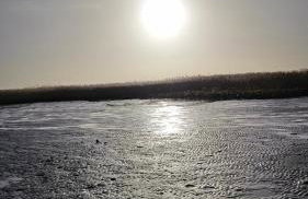 Haus Meerschilf - Foto 22