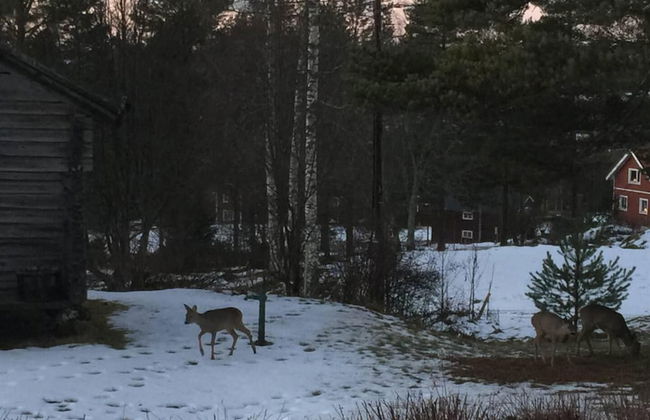 Beautiful 4-5 Persons Cottage in Alvdalen - Foto 20