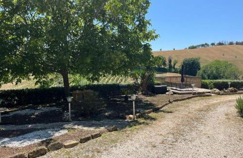 Vineyard Farmhouse in Massignano - Foto 15