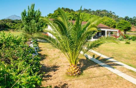 Casa Amaral - Photo 1