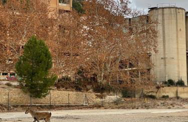 Casa rural muy acogedora - Foto 10