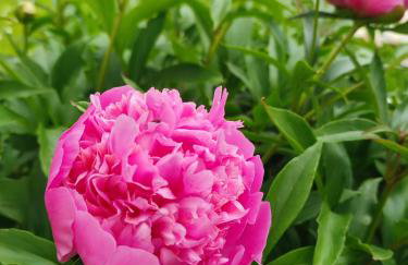 Apartman Sunce - Foto 55