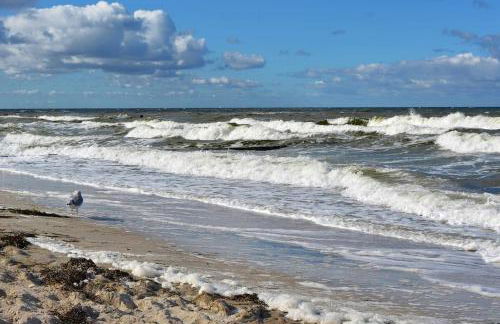 Ferienwohnung Sonnendeck - Foto 17
