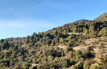 Luxurious Provencal Village House, Walk to Village Pool - Foto 41