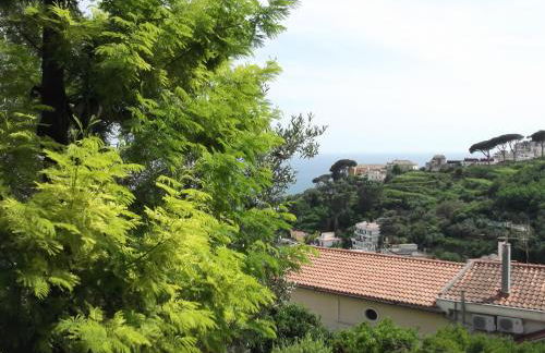 Le Mimose - Photo 41