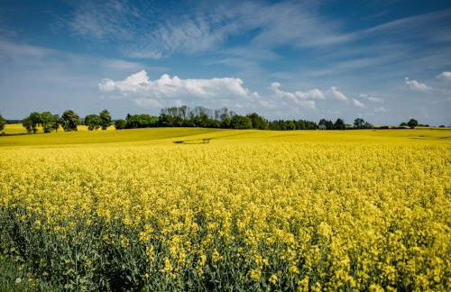 Ferienhaus in Neu Poserin for 5 Personen - Foto 48