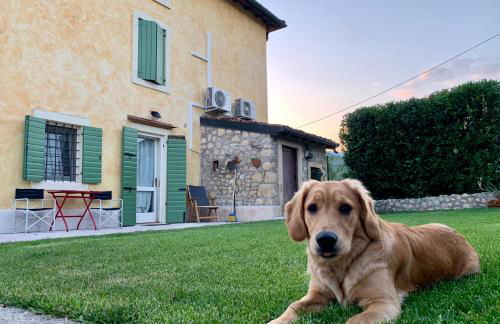 A casa di Hugo - Relais Valpolicella - Photo 14