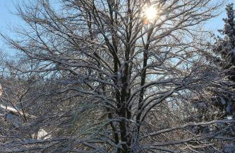 Villa Schonau Apartment 2 in Bad Munstereifel - Foto 70