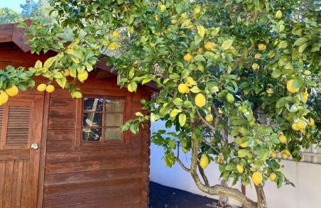 Relax & Recharge in Comfort - Azeitao - Foto 16