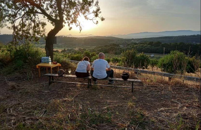 Horseback Riding in Randa, Mallorca - Foto 2