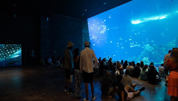 Gran Acuario Mazatlan - Entrada - Foto 3