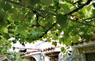 Apartman Tri palme - Foto 5