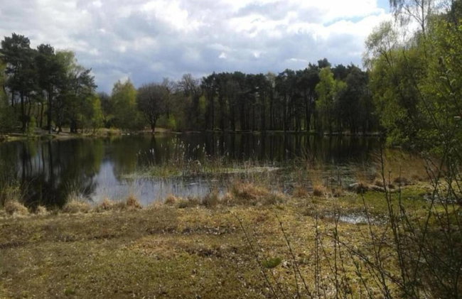 Villa De Mattelier in Groenlo for 7 - Foto 77