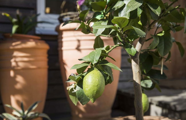Ferienhaus Dornstetten - Foto 34