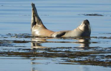 Maison Rouge - Foto 36