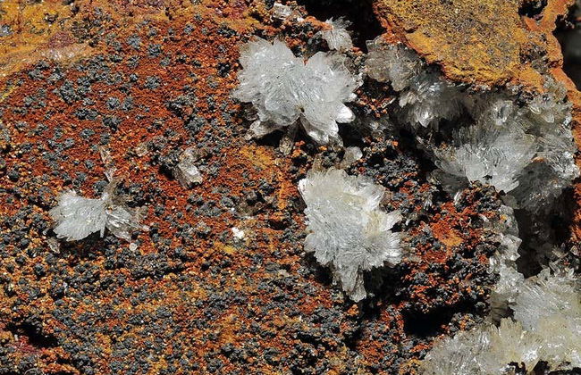 Excursion aux mines de Santa Eulalia - Photo 6