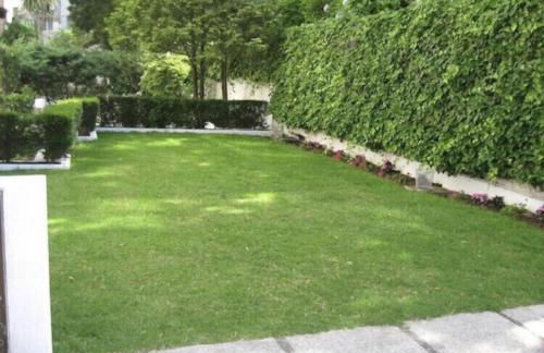 Apartamento Bamuxela - Foto 11