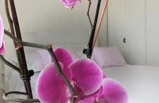 Rab Town Park Apartman - Foto 36