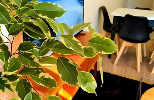 Apartamento Loft Gramado - Photo 15