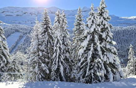 Résidence Les Pleiades - Appartement spacieux et lumineux · Centre station · Balcon · Parking couvert MAE-7354 - Foto 17