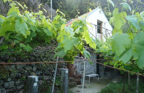 A Casa Estrelícia-Dourada Garcês - Foto 40