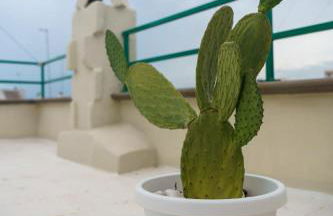 Casarù - Emozioni e relax - Foto 24