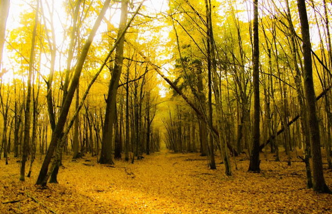 Agrousadba Pushchanskiy Ugolok - Foto 17