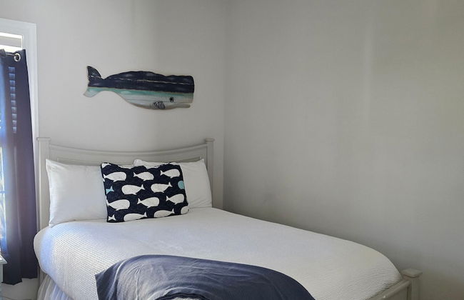 Reel Blessed - Foto 11