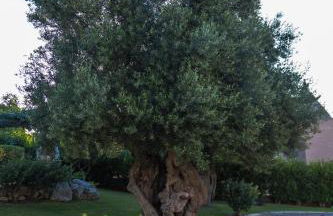 Villa Il Mio Paradiso - Foto 14