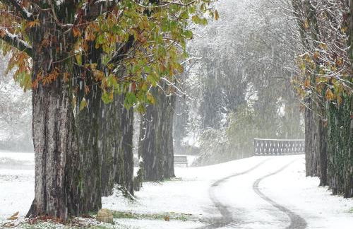 Corte Isolo - Photo 19