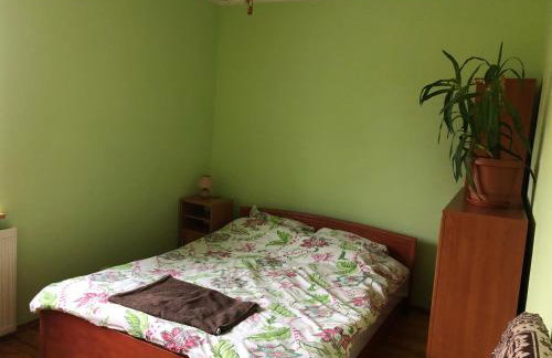 Pokoje u Ani - Foto 26