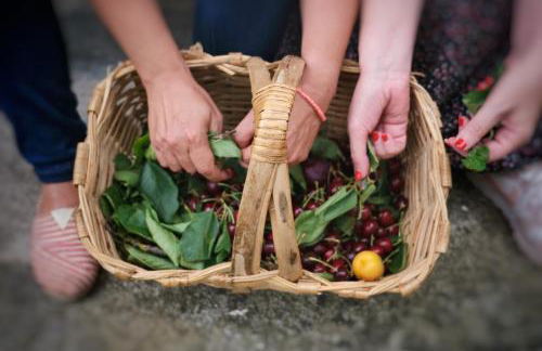Casa de São Roque - Lamego - Foto 8