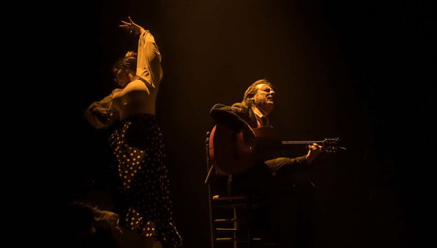 Espectáculo en el Teatro Flamenco - Foto 4, Flamenco en Madrid