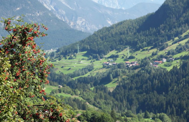 Villa in Piller Near Ski Bus & Lake - Photo 22