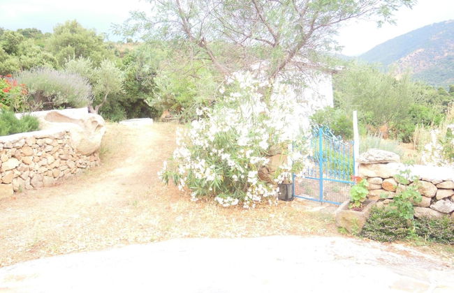 Agriturismo Camisadu - Foto 32