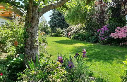 Ferienwohnung Bauchert - Photo 17