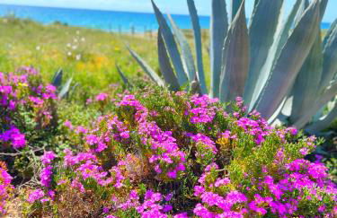 Patio Alcornocal by Residea - Photo 56