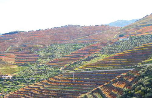 Douro Yacht Charter & Bungalows - Foto 39