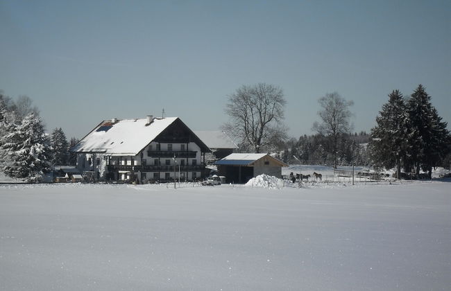 Hauserwirt - Photo 19