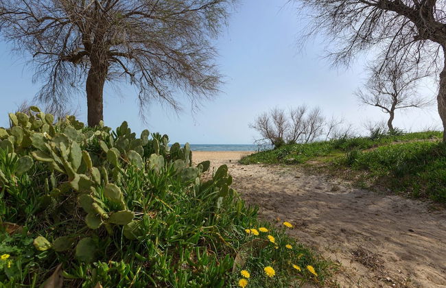 2834 Sun&sea by Barbarhouse - Foto 22