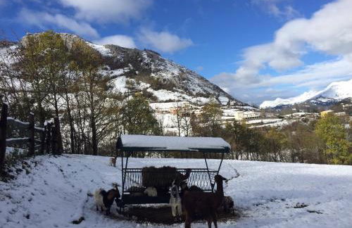 Casas Rurales Prieto - Foto 41