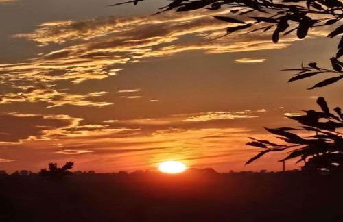 Cosy Flat in Niepars With Garden - Foto 60