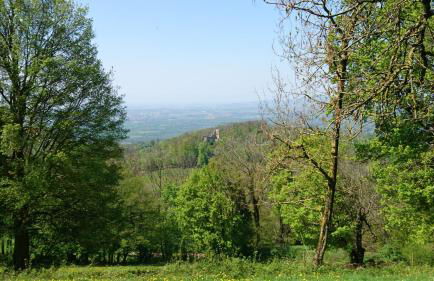 Casa Asensio - Foto 34