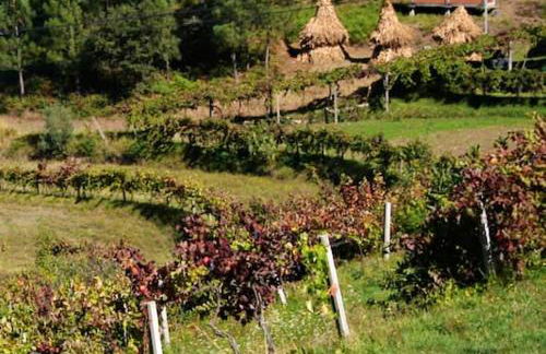 Charming Country House in Riba de Mouro, Fireplace - Foto 17
