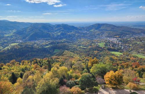 Schwarzwald-Ferienwohnungen Begert - Foto 55