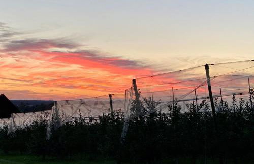 Apartment BLICKinsGRUEN by Interhome - Foto 47