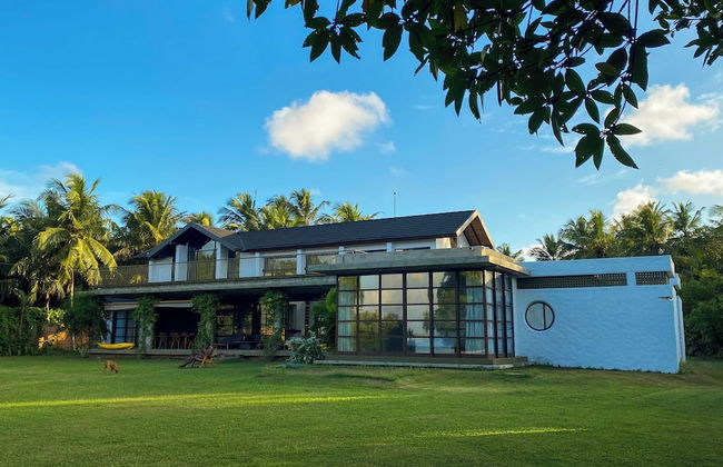 Solar Crab - Photo 21