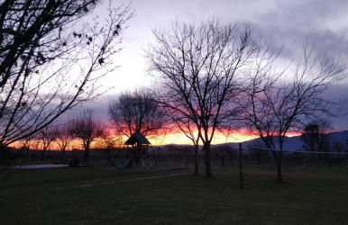 Agriturismo L'Albara - Wines, Pool & SPA - Foto 65