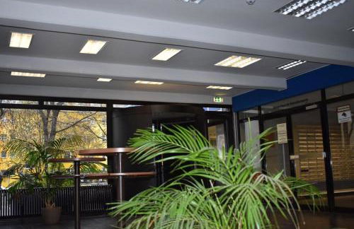 Studio-Apartment, zentral gelegen - Foto 2